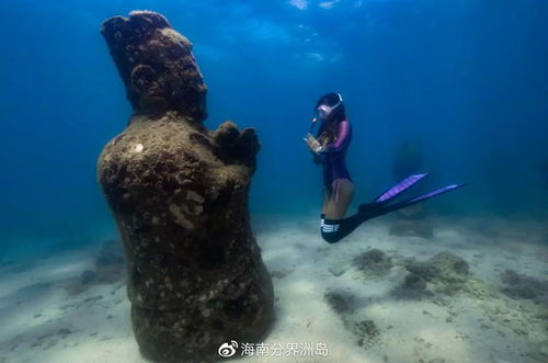 惊！海南这片海，一大波“美人鱼”让人大饱眼福